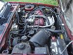 1986 mitsubishi Cordia 4G62T 1.8L TURBO F/S-dsc00646.jpg
