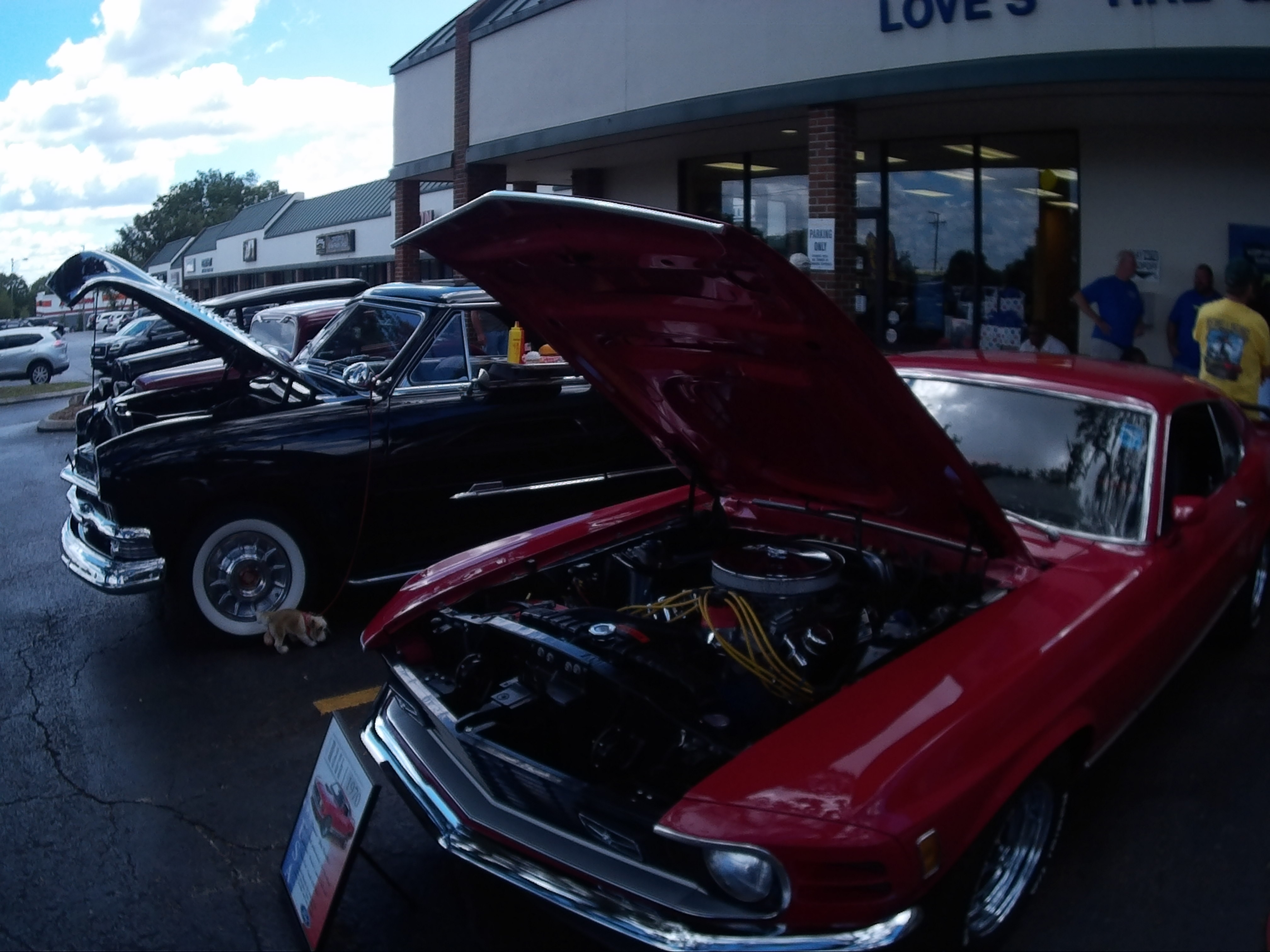 Name:  NNVhRis.jpg
Views: 7
Size:  985.8 KB