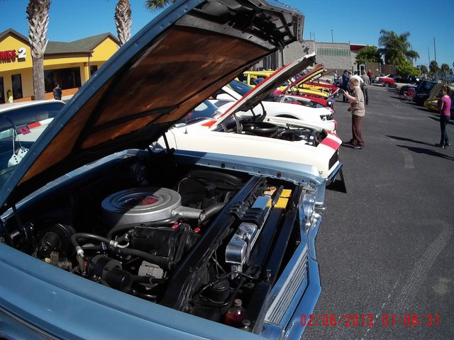 Name:  kM46PEGl.jpg
Views: 8
Size:  74.6 KB