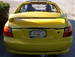 striped delsol in my area (pics)-back-small.jpg
