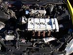 striped delsol in my area (pics)-engine-small.jpg