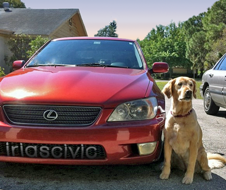 Name:  oUjgi.png
Views: 45
Size:  348.0 KB