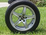 1998 Cobra Rims-picture-158.jpg