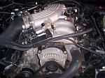 FS: '01 Bullitt-bullitt-006.jpg