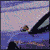 NewportAuto's Avatar