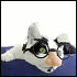 Fataliamademedoit's Avatar