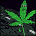 CaptChronic's Avatar
