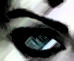 Morganna's Avatar