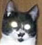 arizonared's Avatar