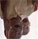G3t_W3t's Avatar