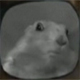 cleggdigital's Avatar