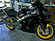 Linzey450's Avatar