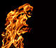 Palillus's Avatar