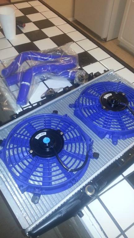 Rad and fans came in