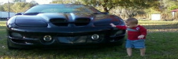 http://i16.photobucket.com/albums/b21/dragnblazer/trans-am/4-1.jpg